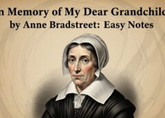 In Memory of My Dear Grandchild by Anne Bradstreet: Easy Notes